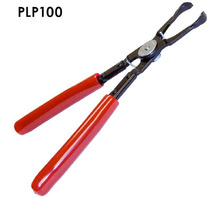 PLP100 Image