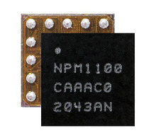 NPM1100-CAAA-E-R7 Image