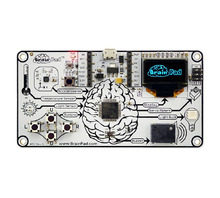 BRAINPAD-BP2 Image