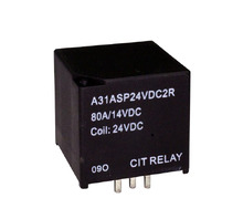 A31ASP24VDC2R Image