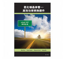 GAN FET BOOK SIMPLIFIED CHINESE VERSION Image