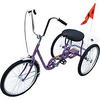 IBIKE-3-DC-P Image