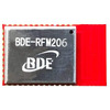 BDE-RFM206-915 Image