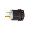 NEMA L5-20 PLUG Image